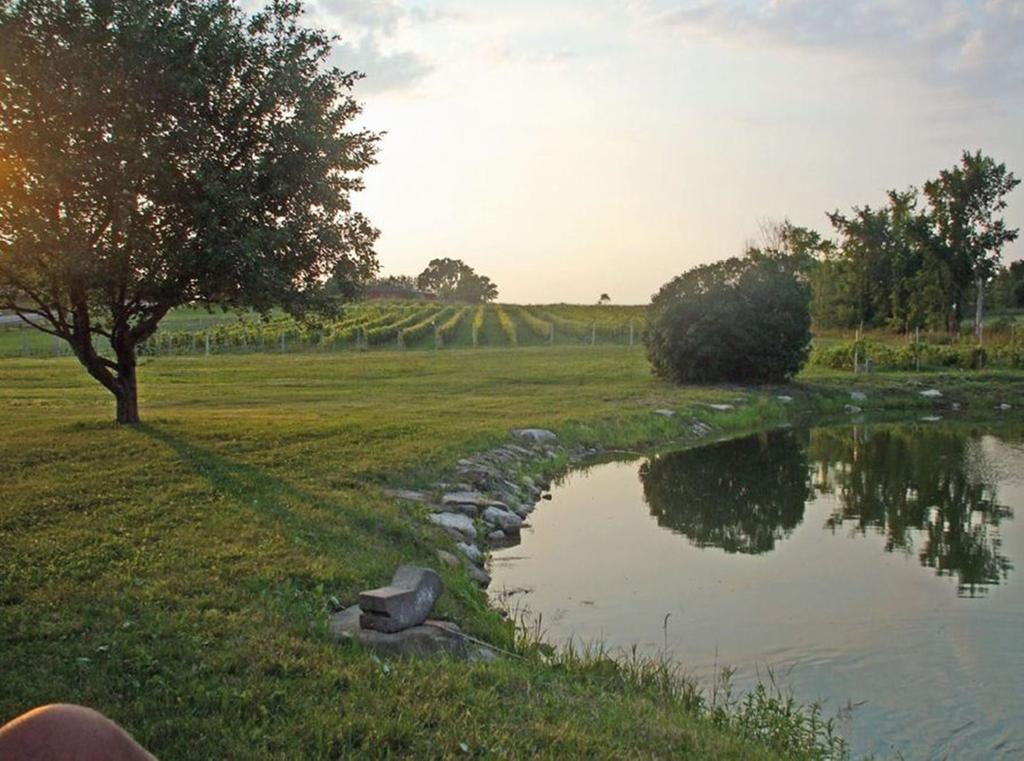 Cote St-Hermas Gite Au Vignoble Mirabel Exteriör bild